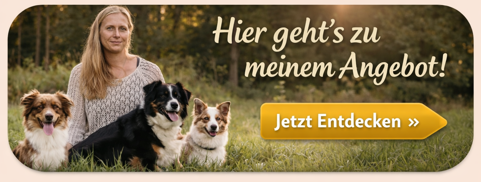Angebot Hundeschule Freyung Gemeinsam
